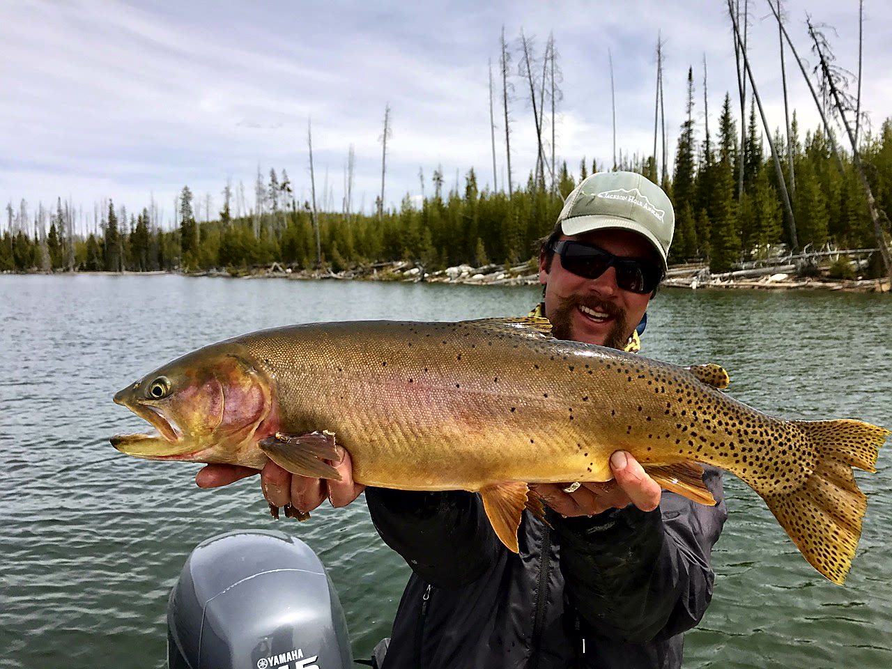 Yellowstone Fishing